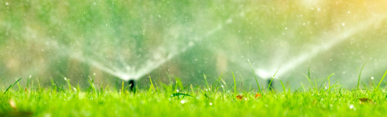 Call today for sprinkler and irrigation services!